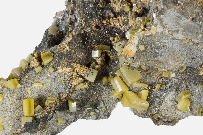 Sandwich Wulfenite Crystal Cluster - Ojuela Mine, Mexico #183423